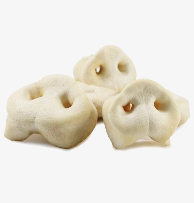 Mit Honig gepuffte Schweinenase – Hundesnack – 1 Stück