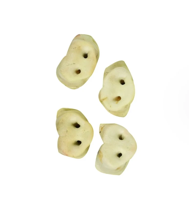 Mit Honig gepuffte Schweinenase – Hundesnack – 1 Stück