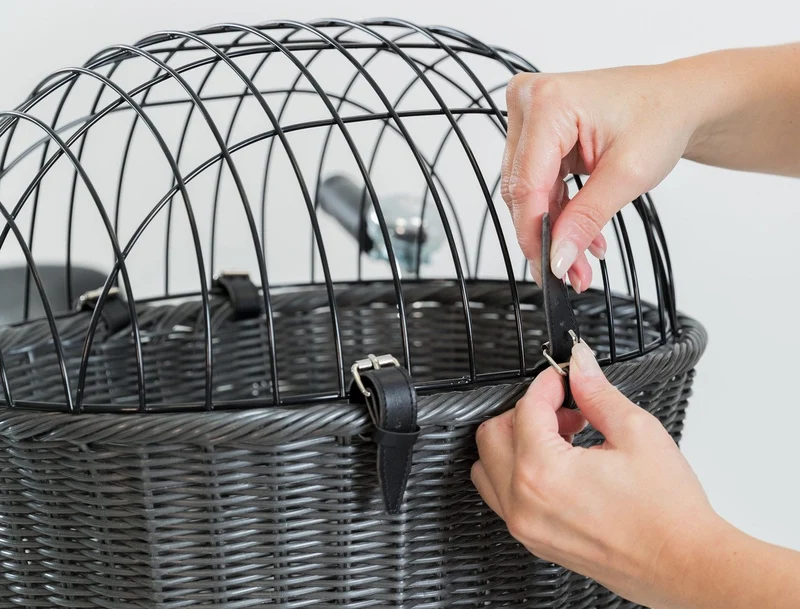 Trixie Rattan-Hundefahrradkorb – 5 kg