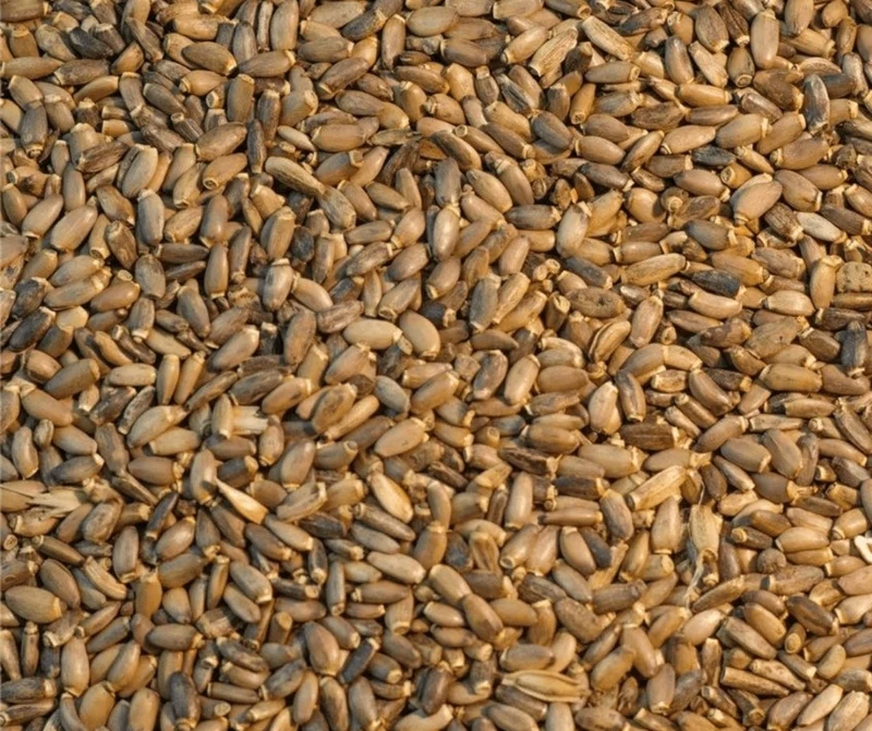 Mariendistelsamen 500 Gramm - Bird-X Grizo