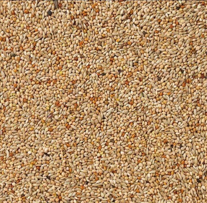 Deli Nature 40 Tropenvögel Basic 1kg