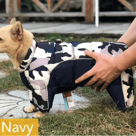 Fato / Casaco Completo Impermeável Quente e Acolchoado para Cães