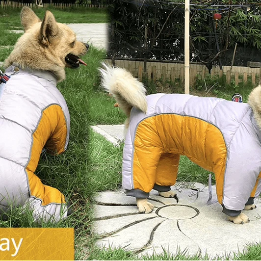Fato / Casaco Completo Impermeável Quente e Acolchoado para Cães