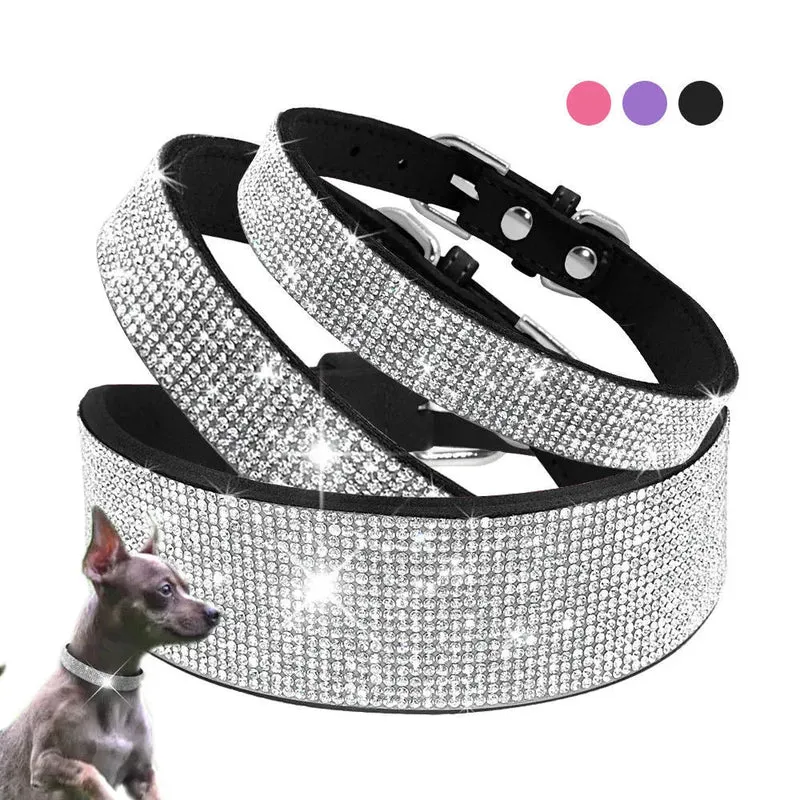 Coleira e Trela, em Cabedal, com Cristais, para Gatos ou Cães de Raças Pequenas