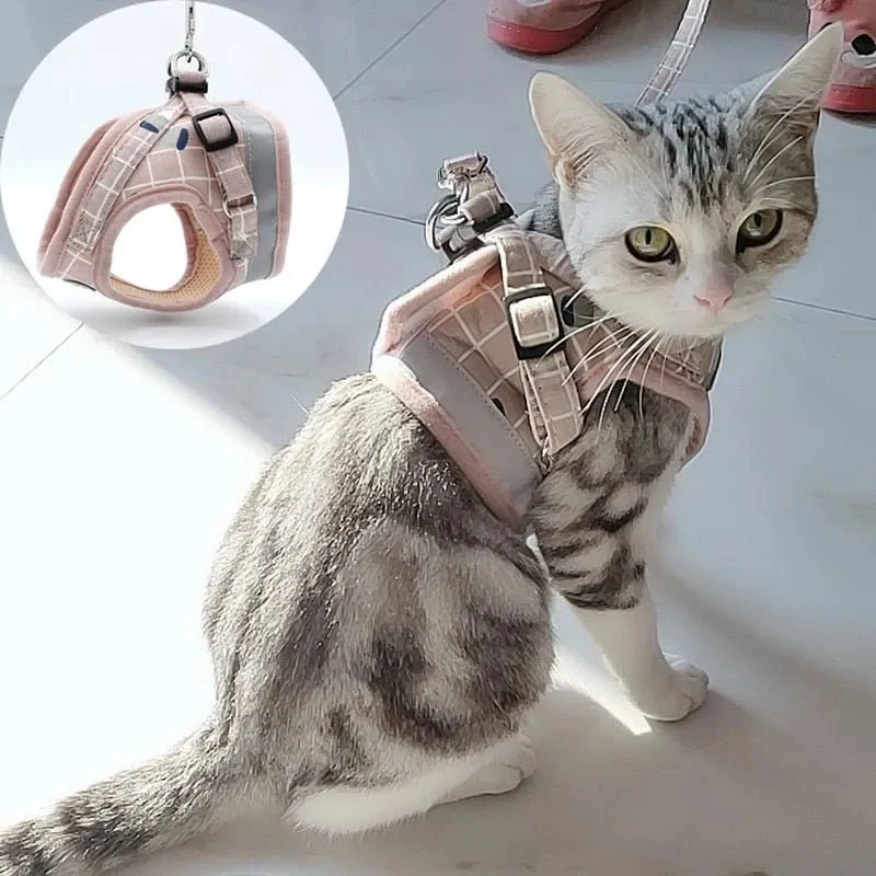 Conjunto de Trela e Peitoral para Gatos (ou cães de raças pequenas)