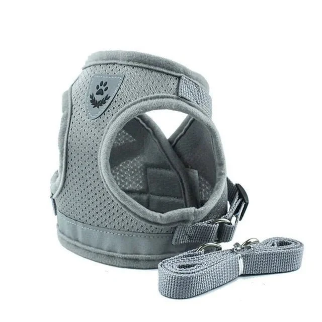 Conjunto de Trela e Peitoral para Gatos (ou cães de raças pequenas)
