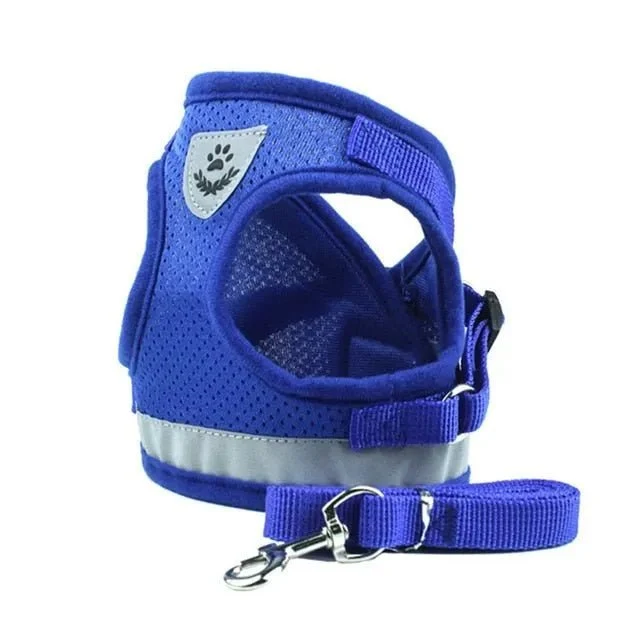 Conjunto de Trela e Peitoral para Gatos (ou cães de raças pequenas)