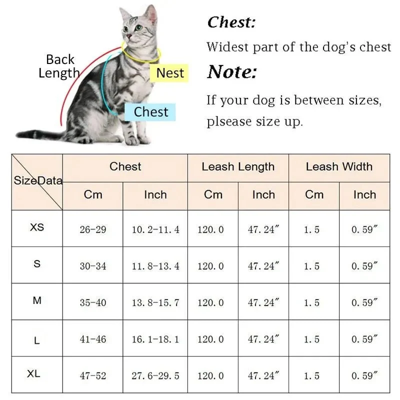 Conjunto de Trela e Peitoral para Gatos (ou cães de raças pequenas)
