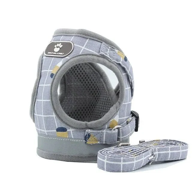 Conjunto de Trela e Peitoral para Gatos (ou cães de raças pequenas)