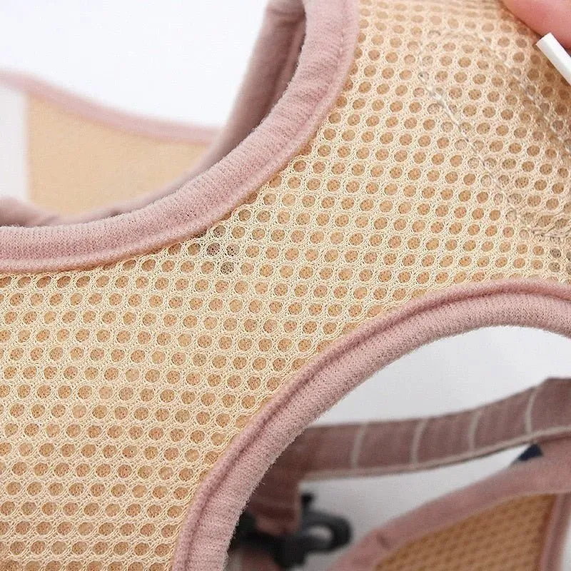 Conjunto de Trela e Peitoral para Gatos (ou cães de raças pequenas)