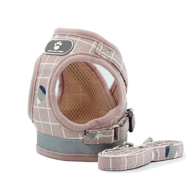 Conjunto de Trela e Peitoral para Gatos (ou cães de raças pequenas)