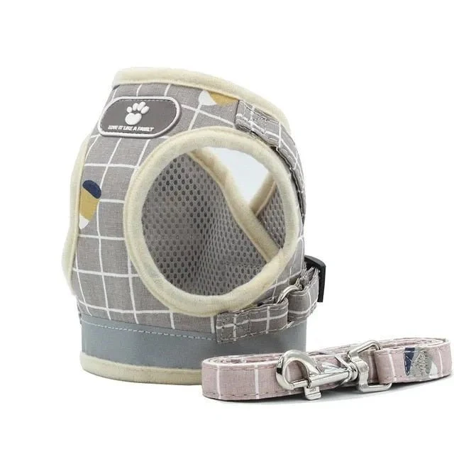 Conjunto de Trela e Peitoral para Gatos (ou cães de raças pequenas)