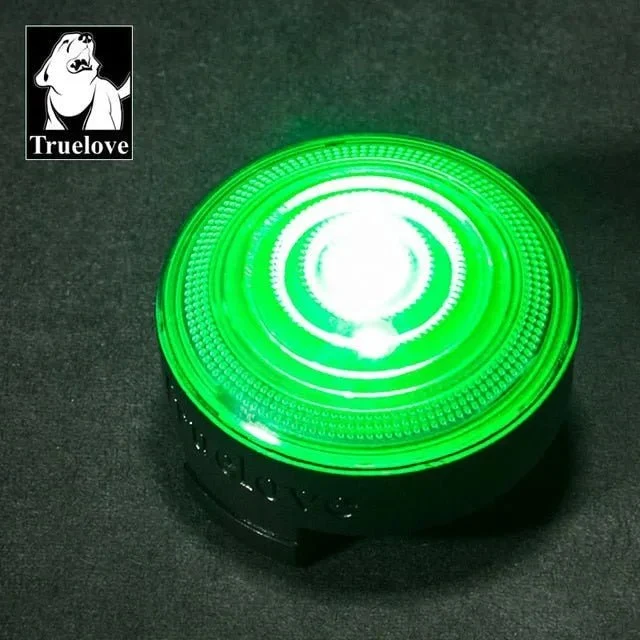 Luz LED de Segurança para Coleiras (Impermeável)