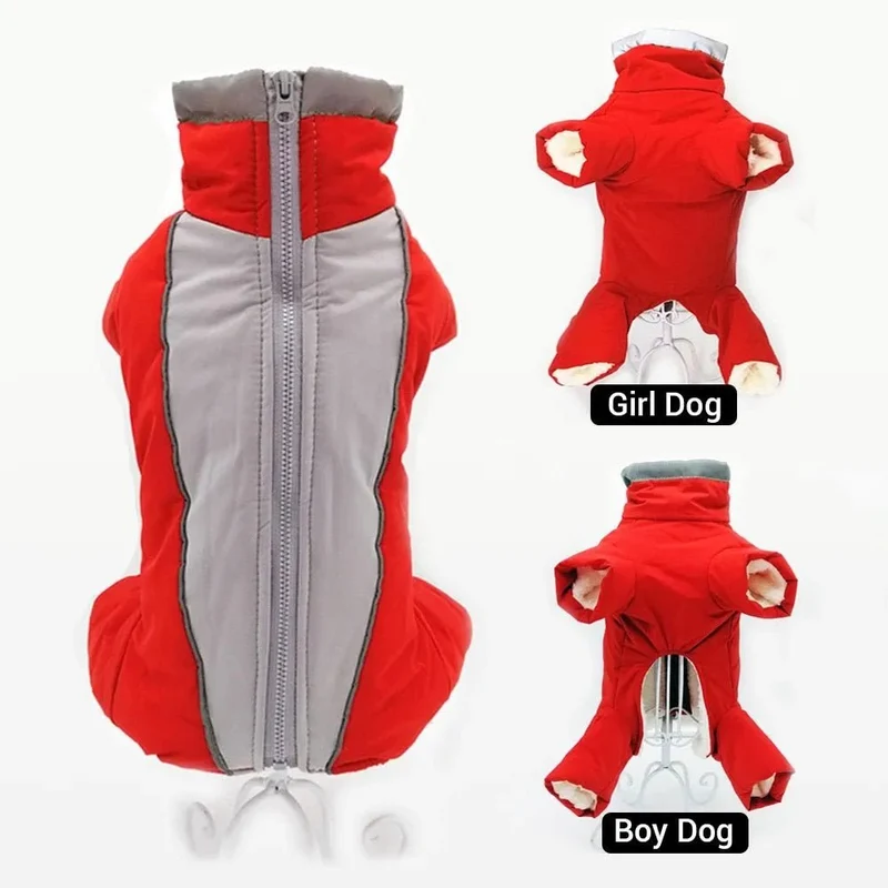 Fato / Casaco Completo Impermeável para Cães