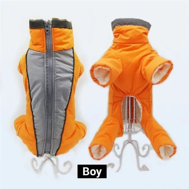 Fato / Casaco Completo Impermeável para Cães