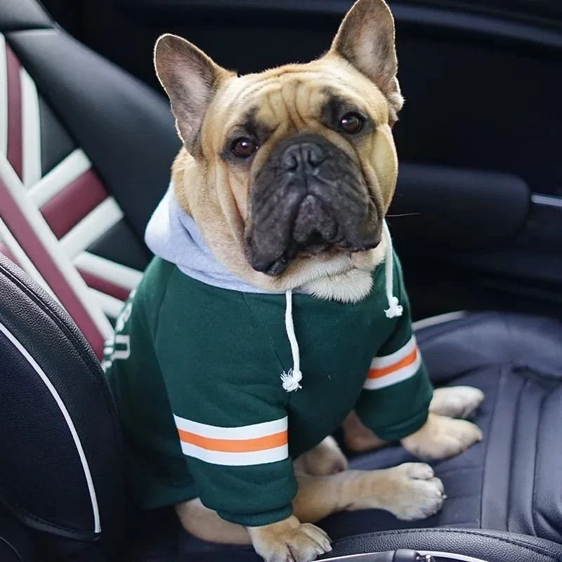 Blusão com Capuz para Cães (French Bulldog ou raças pequenas ou médias)