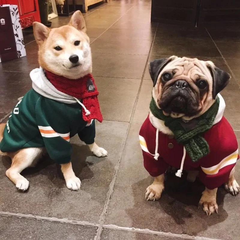 Blusão com Capuz para Cães (French Bulldog ou raças pequenas ou médias)