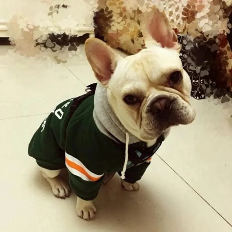 Blusão com Capuz para Cães (French Bulldog ou raças pequenas ou médias)