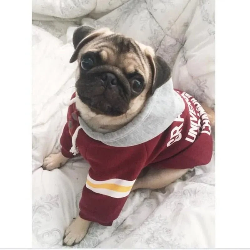 Blusão com Capuz para Cães (French Bulldog ou raças pequenas ou médias)