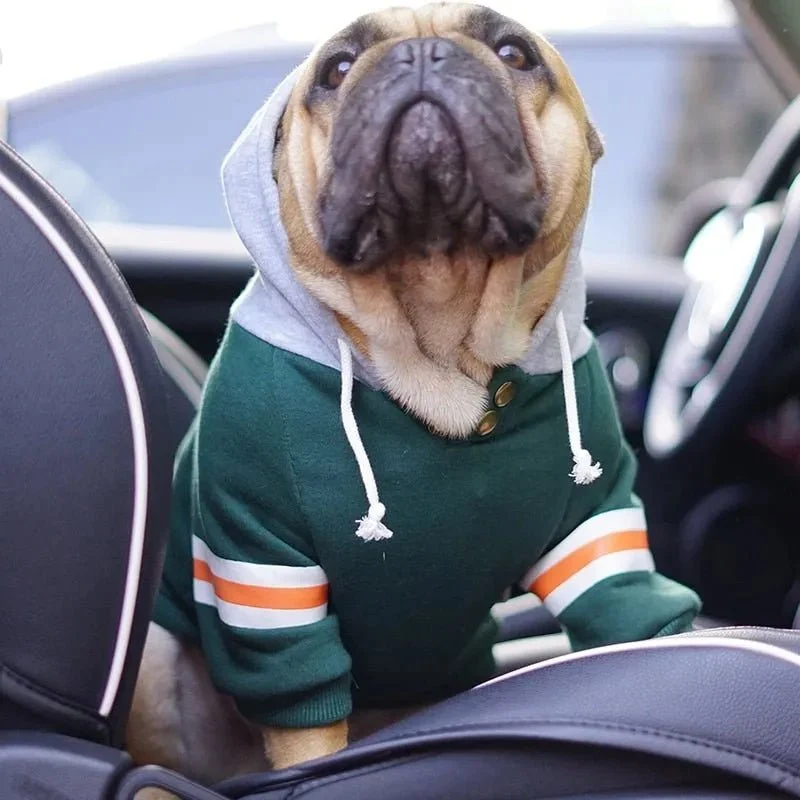 Blusão com Capuz para Cães (French Bulldog ou raças pequenas ou médias)
