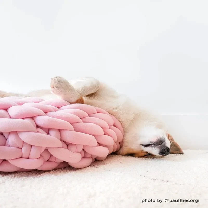 Cama / Cesto para Gatos ou Cães de Raças Pequenas