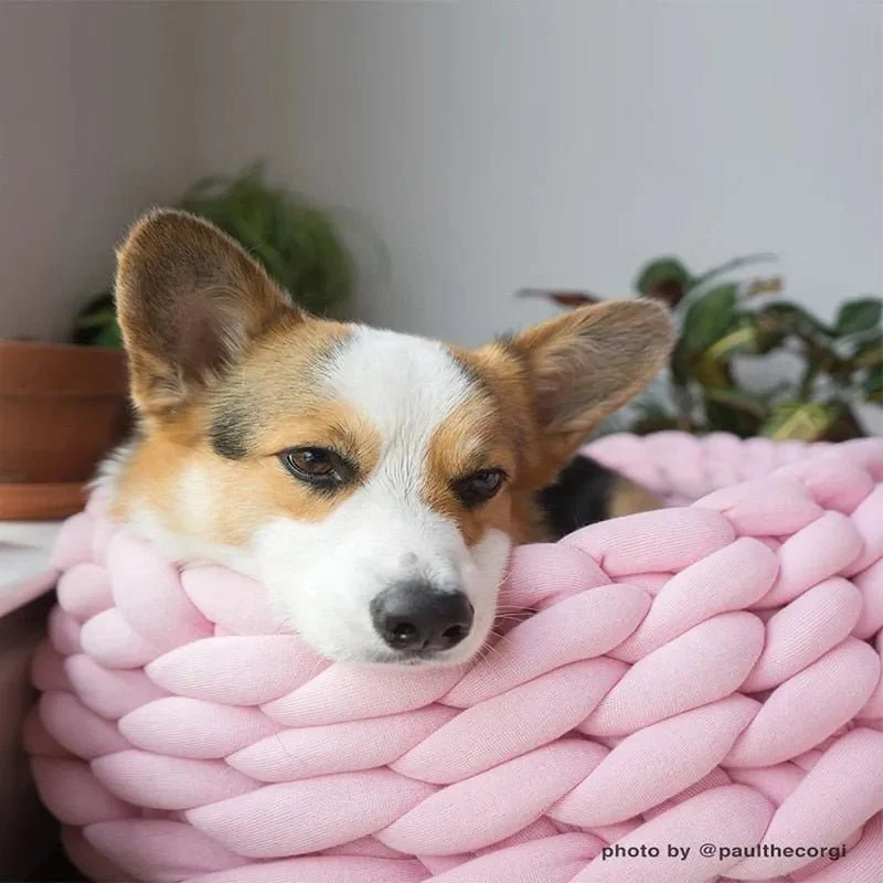 Cama / Cesto para Gatos ou Cães de Raças Pequenas