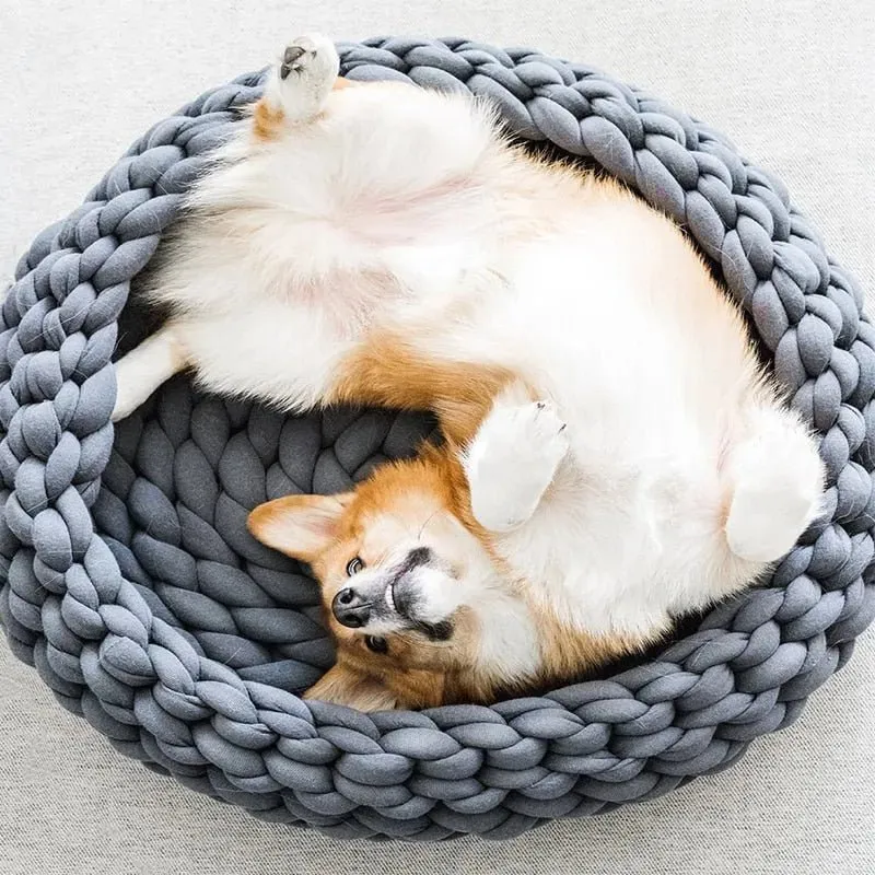 Cama / Cesto para Gatos ou Cães de Raças Pequenas