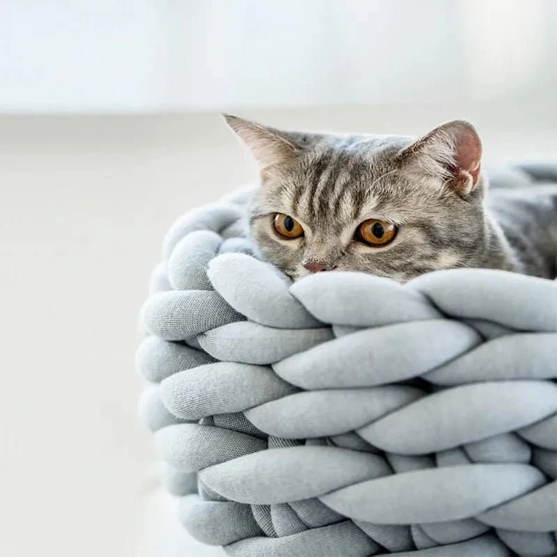 Cama / Cesto para Gatos ou Cães de Raças Pequenas