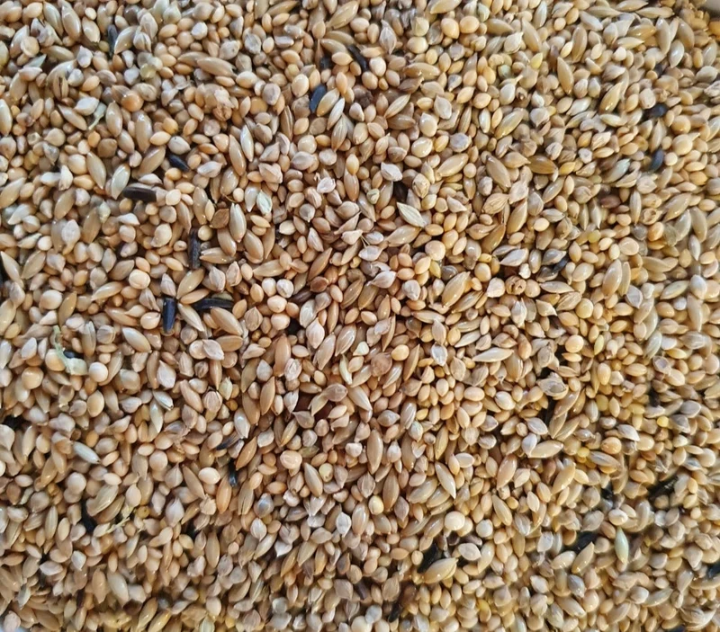Deli Nature 42 Zebrafink Supreme 1kg