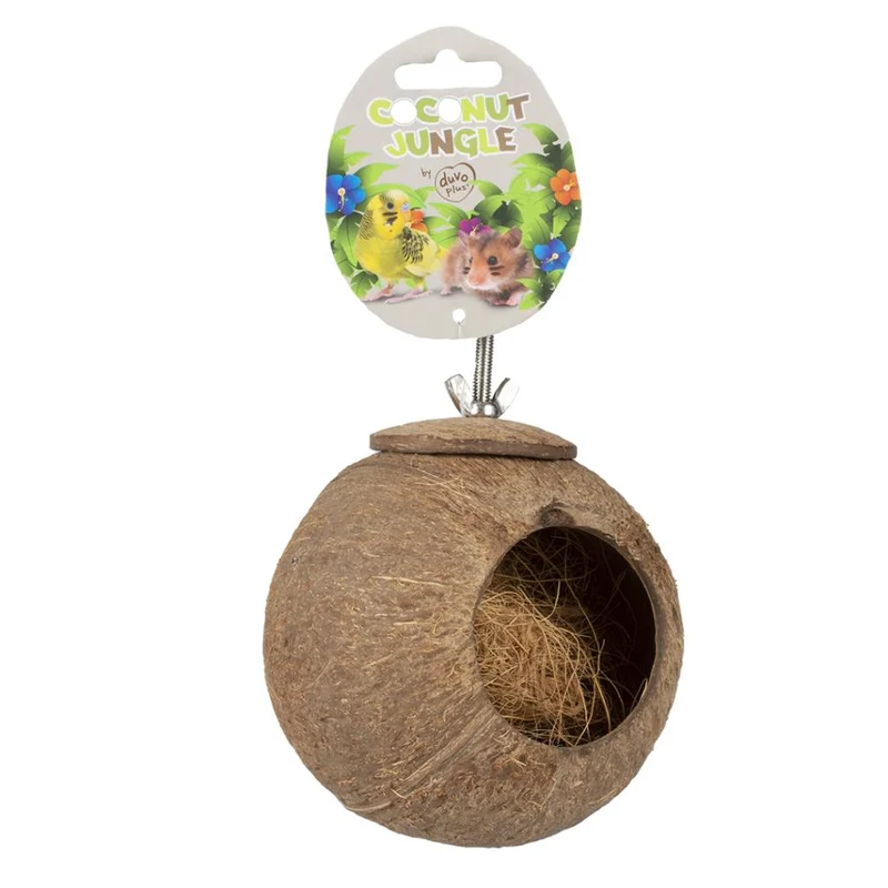Coconut Jungle House mit Montage
