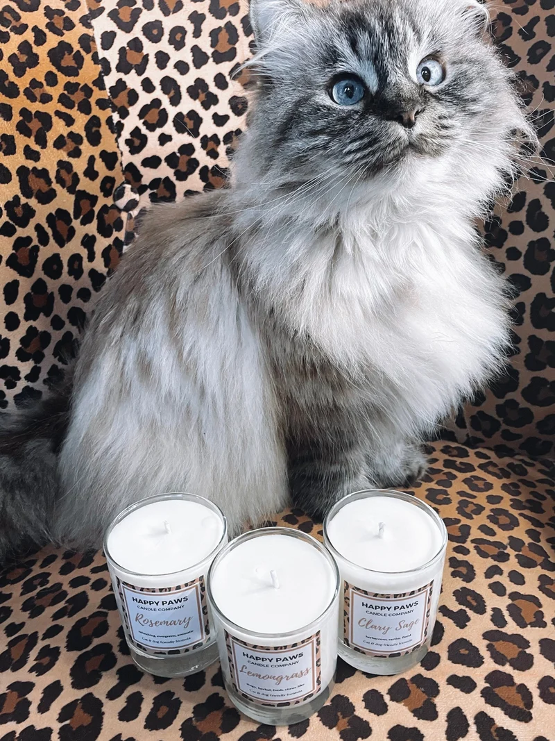 Lemongrass - Vela Aromática de Limão 'Pet Friendly'
