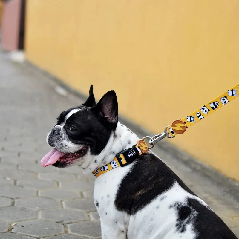 Coleira Snooze, para cães ou gatos (DASHI) - 4 tamanhos