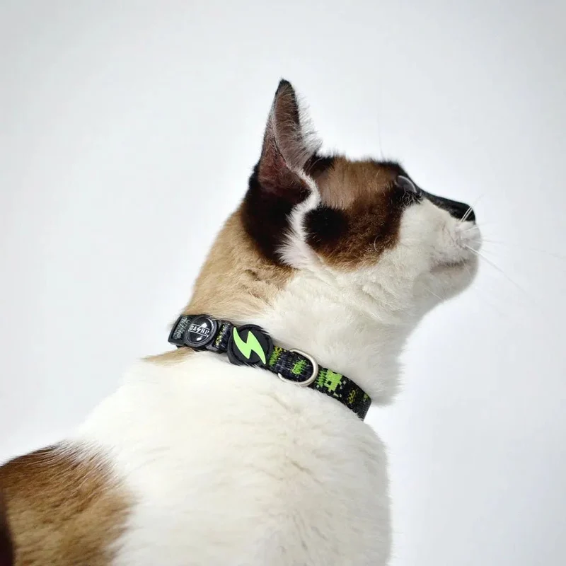 Coleira Gamer para cães ou gatos (DASHI) - 4 tamanhos
