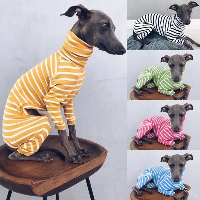 Pijama / Casaco Listado em Algodão, para Cães