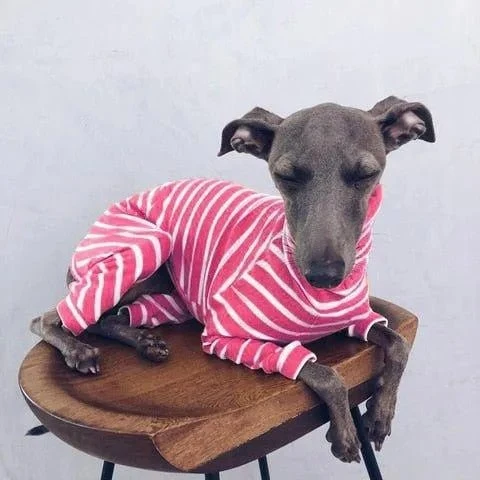 Pijama / Casaco Listado em Algodão, para Cães