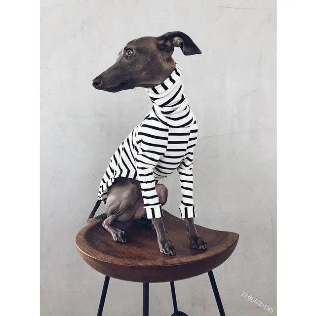 Pijama / Casaco Listado em Algodão, para Cães