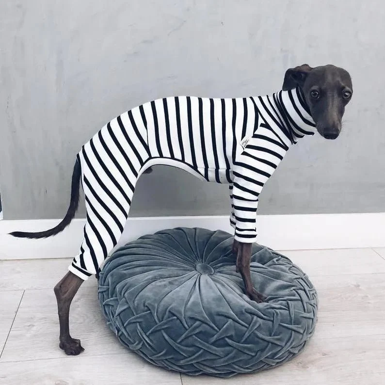 Pijama / Casaco Listado em Algodão, para Cães