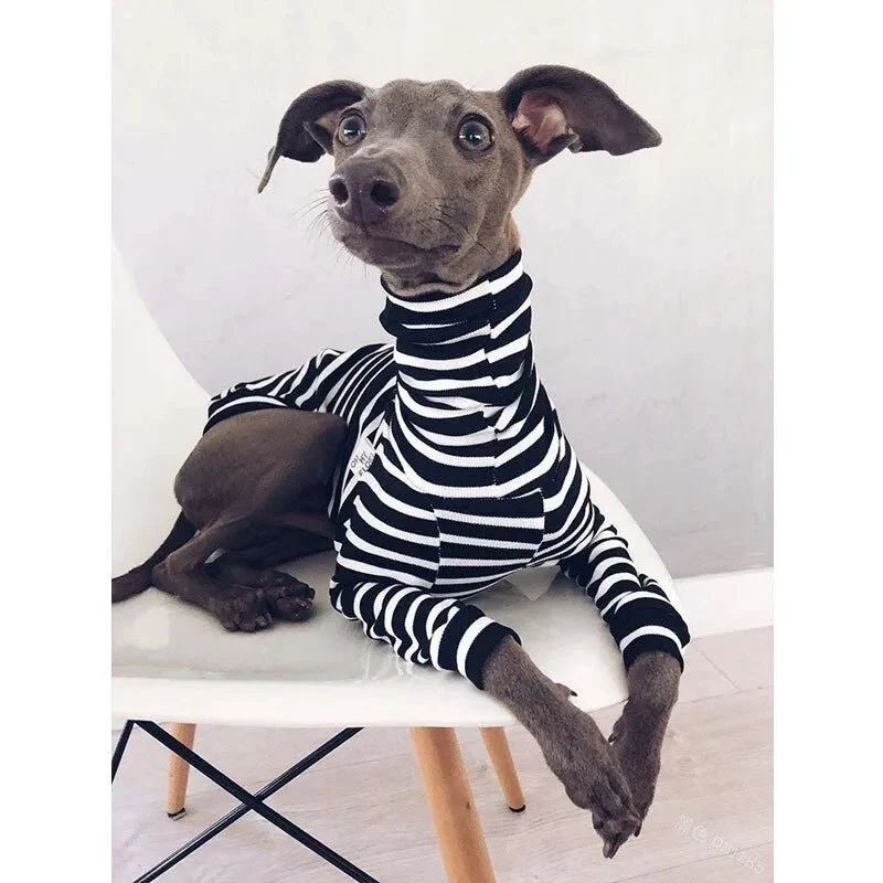 Pijama / Casaco Listado em Algodão, para Cães