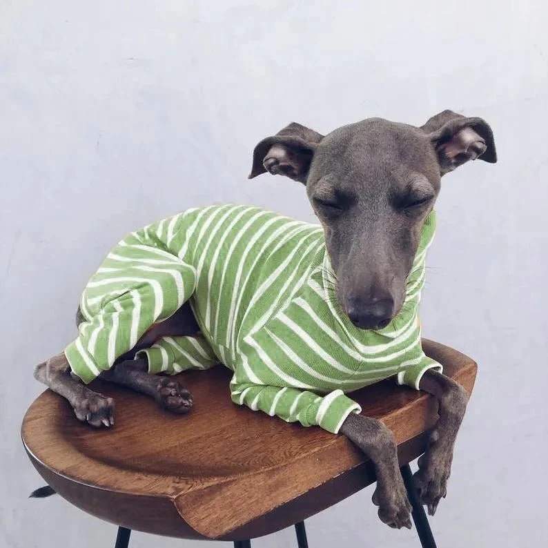 Pijama / Casaco Listado em Algodão, para Cães