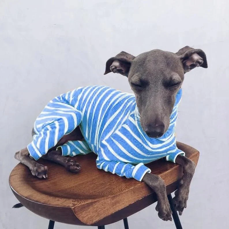 Pijama / Casaco Listado em Algodão, para Cães