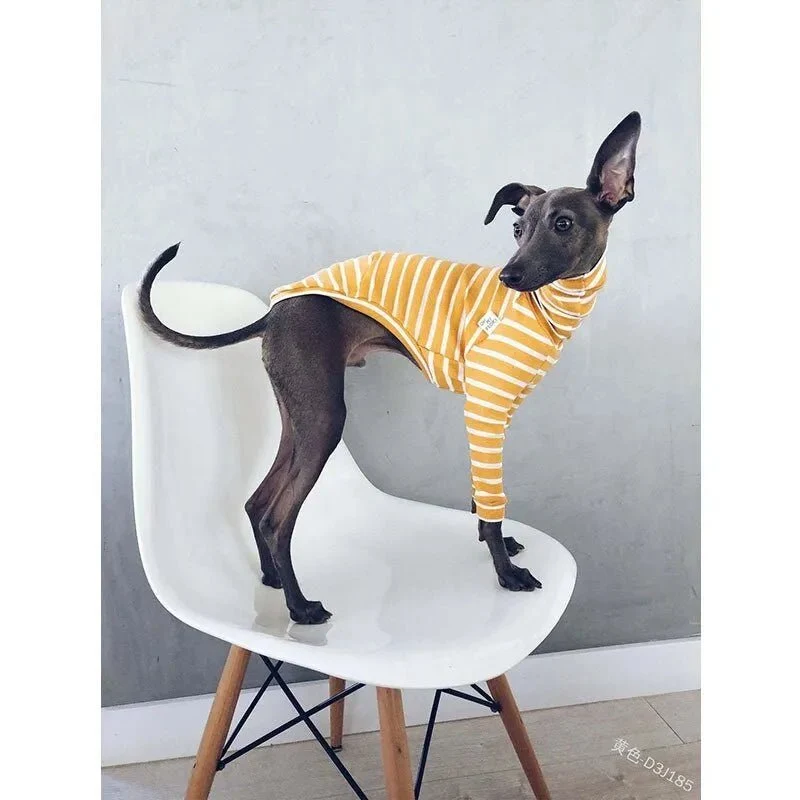 Pijama / Casaco Listado em Algodão, para Cães