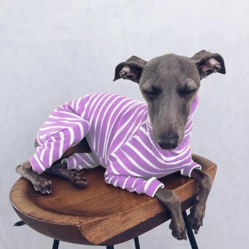 Pijama / Casaco Listado em Algodão, para Cães