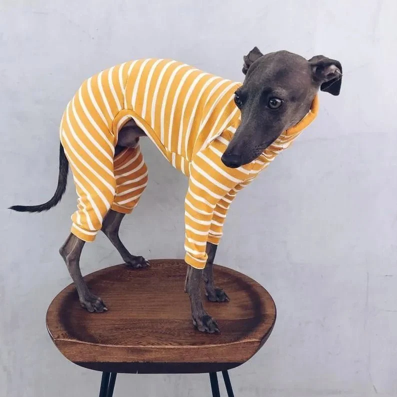 Pijama / Casaco Listado em Algodão, para Cães