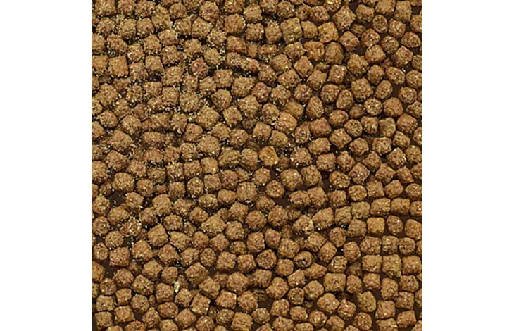Pelletfutter für Buntbarsche 500 ml – Flamingo