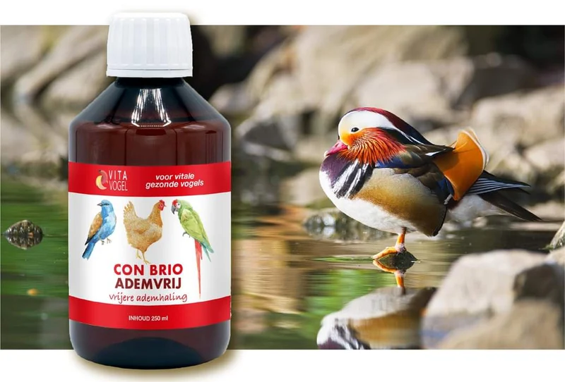 Con Brio Atemfrei 500 ml - Vita Vogel