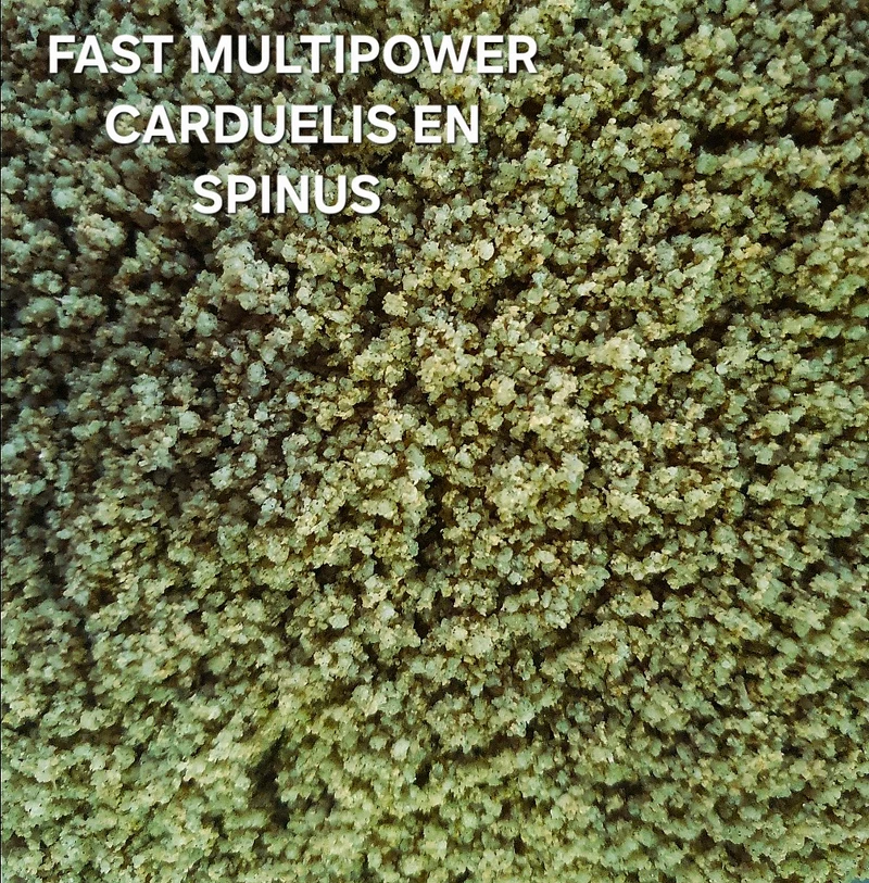 Fast Multipower Carduelis & Spinus 500 Gramm - OrniLuck - Grünes Eifutter