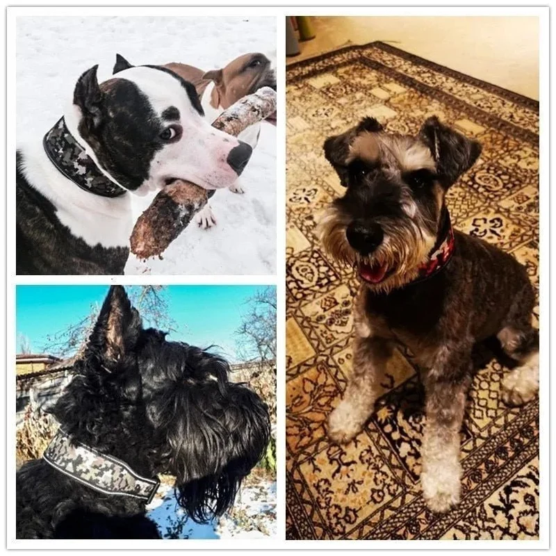 Coleira Larga Acolchoada e Reflectora para Cães