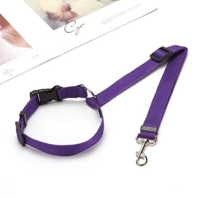 Cinto de Segurança Ajustável para Transporte de Cães no Carro (Trela)