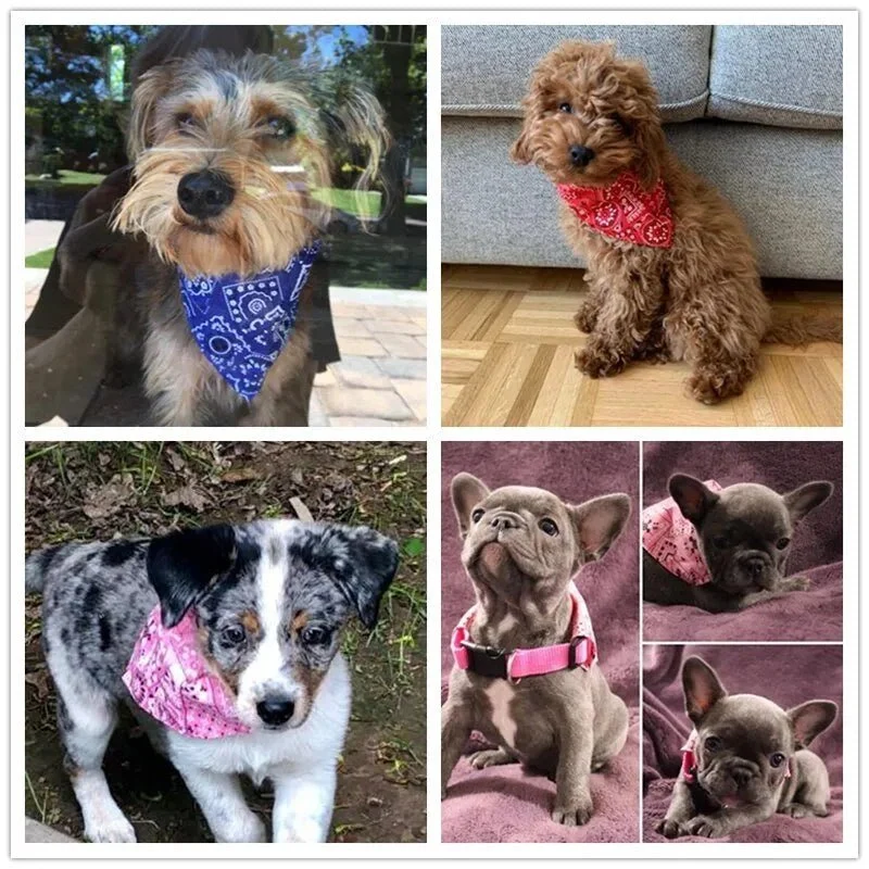 Bandana triangular ajustável para cães