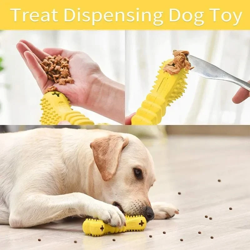 Osso / Brinquedo dispensador de biscoitos